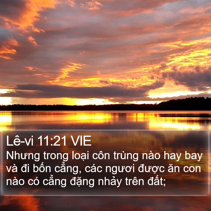 Lê-vi 11:21 VIE Bible Study