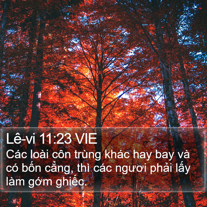 Lê-vi 11:23 VIE Bible Study