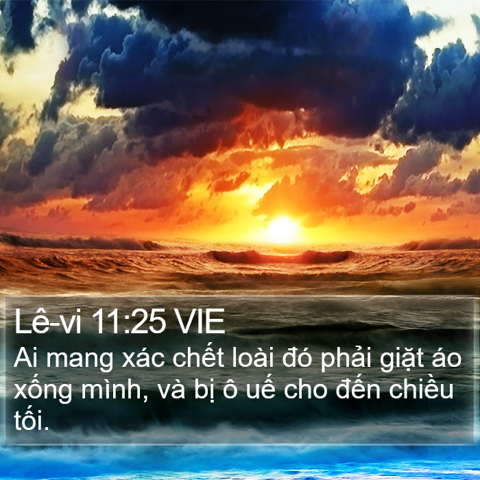 Lê-vi 11:25 VIE Bible Study