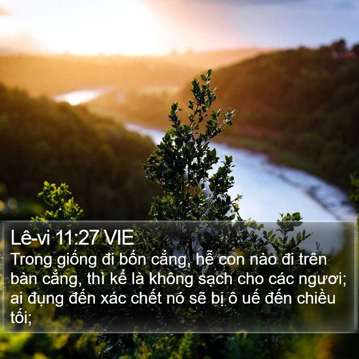 Lê-vi 11:27 VIE Bible Study