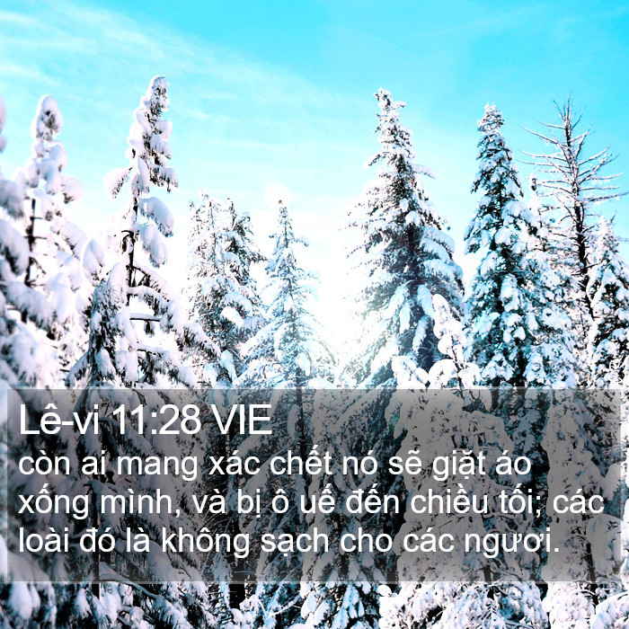 Lê-vi 11:28 VIE Bible Study