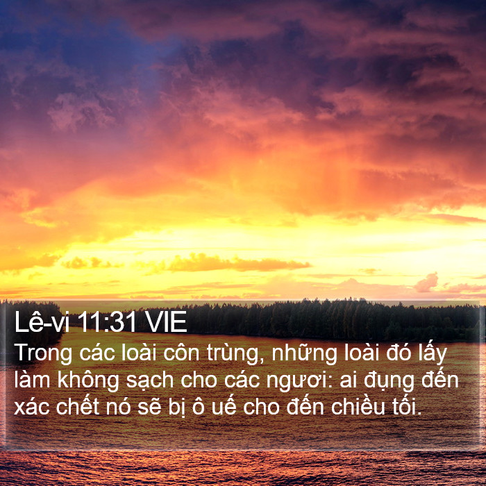 Lê-vi 11:31 VIE Bible Study