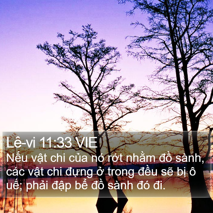 Lê-vi 11:33 VIE Bible Study