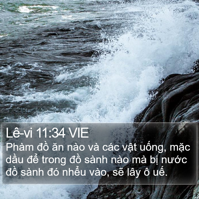 Lê-vi 11:34 VIE Bible Study