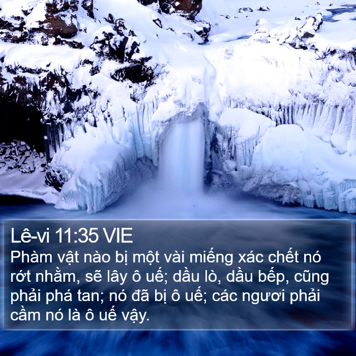 Lê-vi 11:35 VIE Bible Study