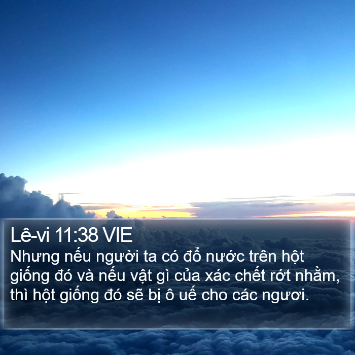 Lê-vi 11:38 VIE Bible Study