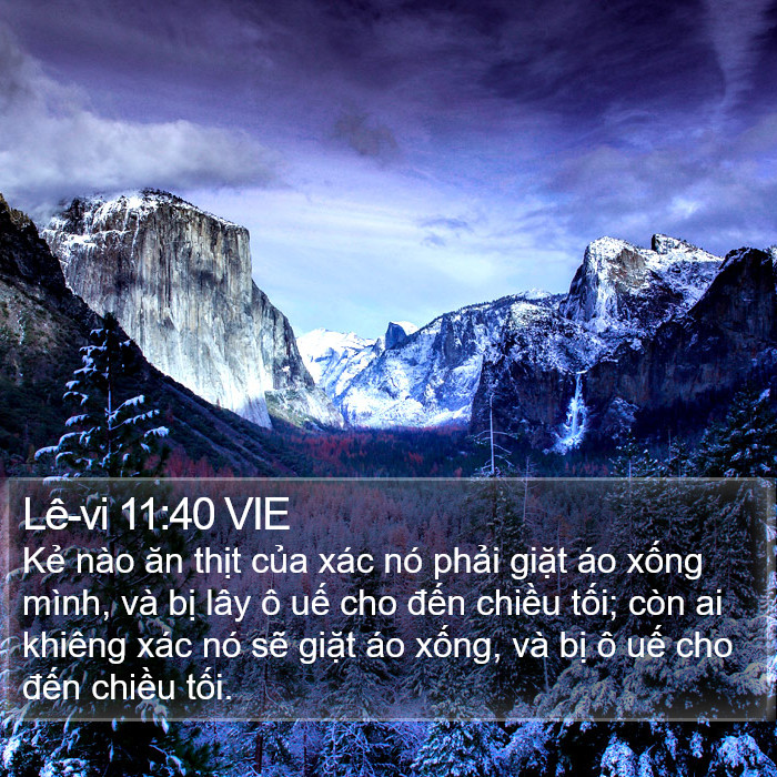 Lê-vi 11:40 VIE Bible Study