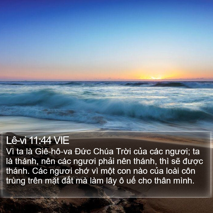 Lê-vi 11:44 VIE Bible Study