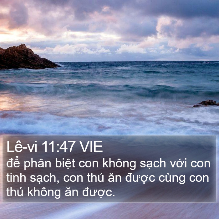 Lê-vi 11:47 VIE Bible Study