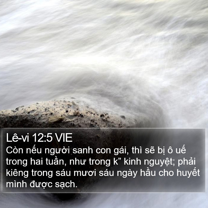 Lê-vi 12:5 VIE Bible Study