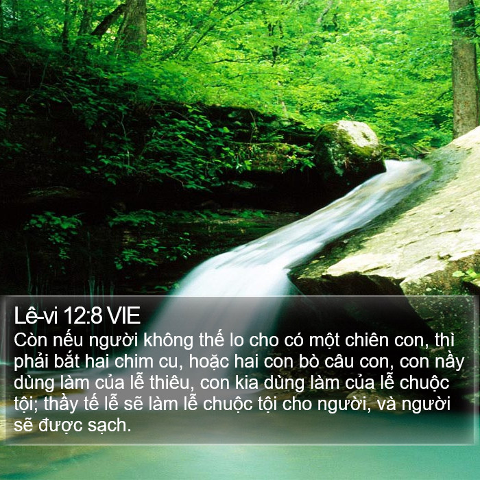 Lê-vi 12:8 VIE Bible Study