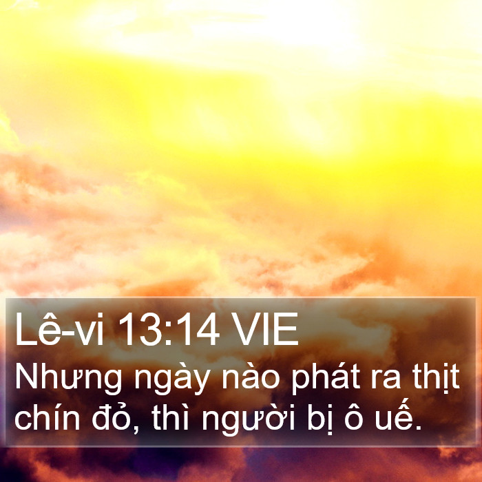 Lê-vi 13:14 VIE Bible Study