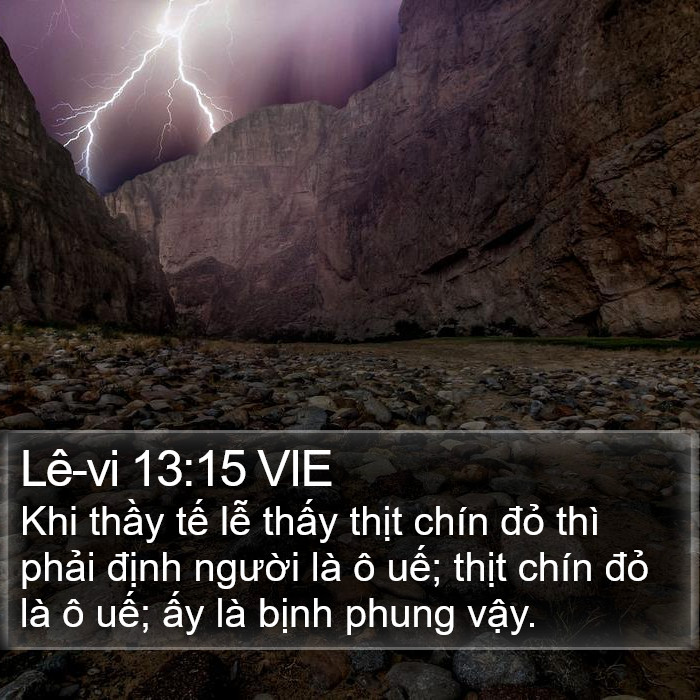 Lê-vi 13:15 VIE Bible Study