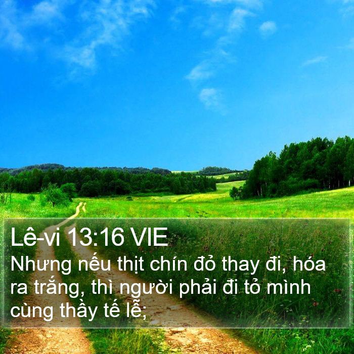 Lê-vi 13:16 VIE Bible Study