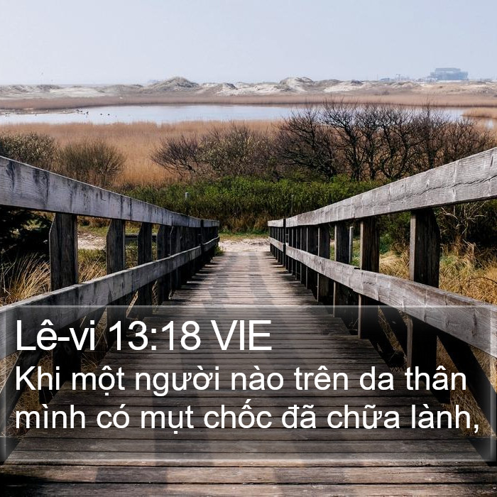 Lê-vi 13:18 VIE Bible Study