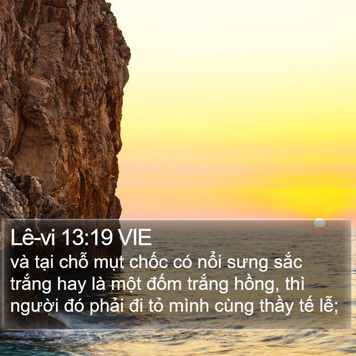 Lê-vi 13:19 VIE Bible Study