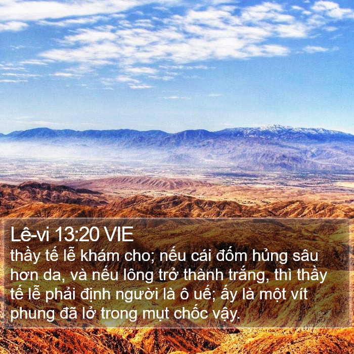 Lê-vi 13:20 VIE Bible Study