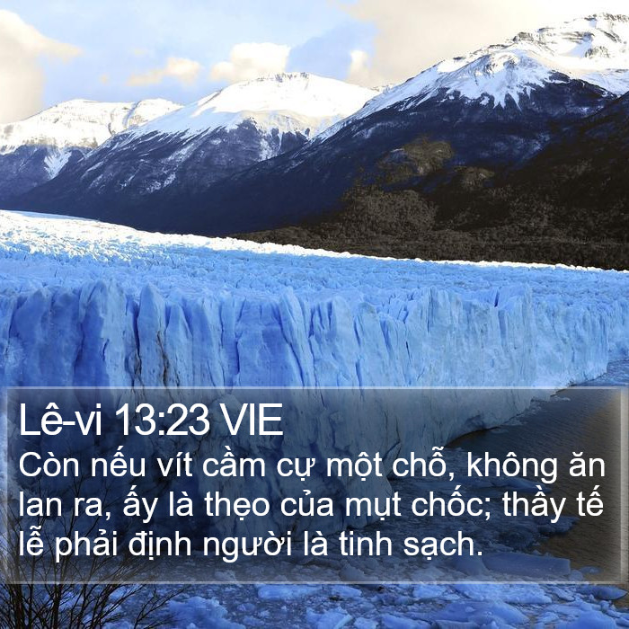 Lê-vi 13:23 VIE Bible Study