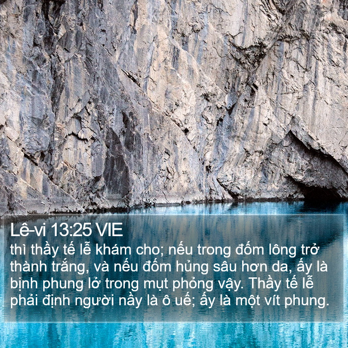 Lê-vi 13:25 VIE Bible Study