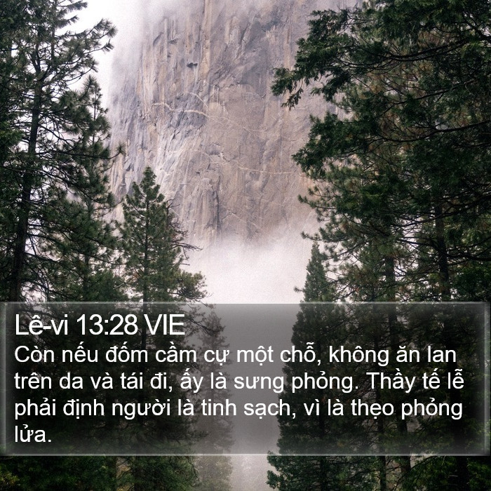 Lê-vi 13:28 VIE Bible Study