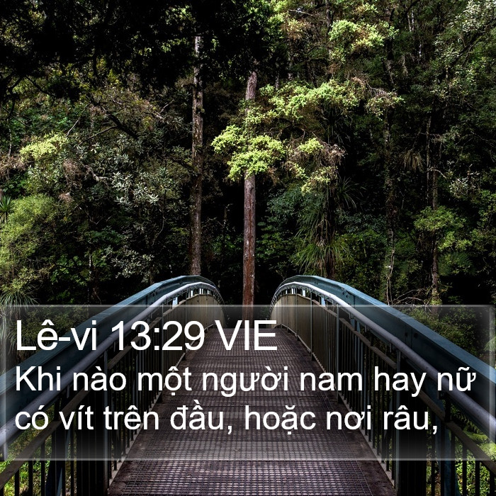 Lê-vi 13:29 VIE Bible Study