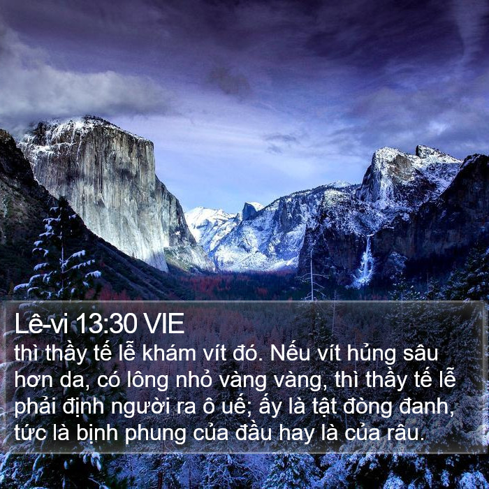 Lê-vi 13:30 VIE Bible Study