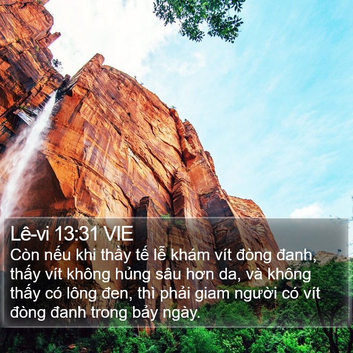 Lê-vi 13:31 VIE Bible Study