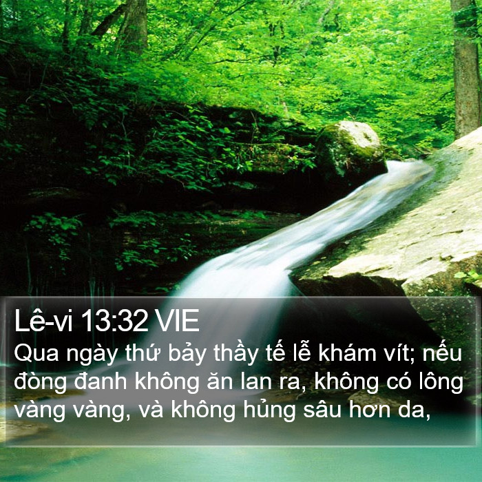 Lê-vi 13:32 VIE Bible Study