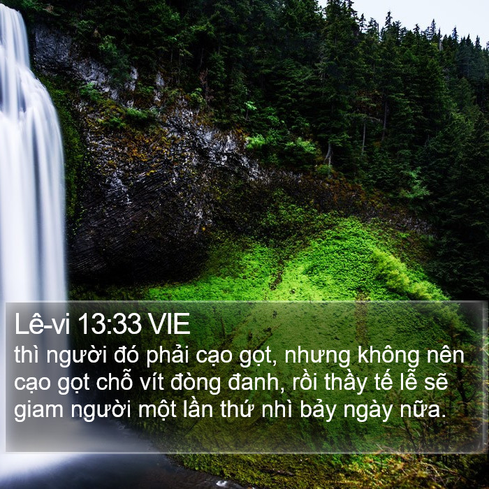 Lê-vi 13:33 VIE Bible Study