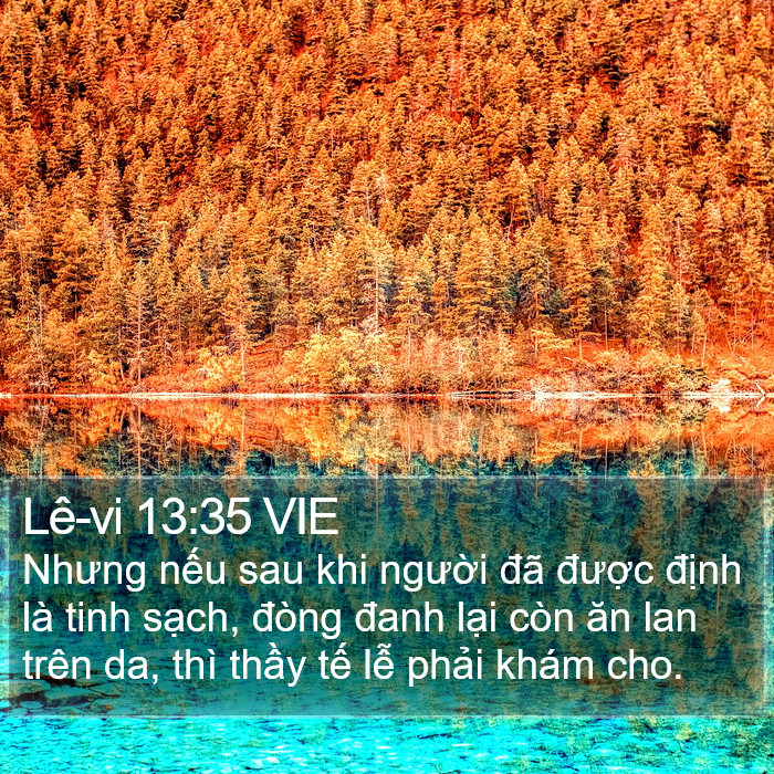 Lê-vi 13:35 VIE Bible Study