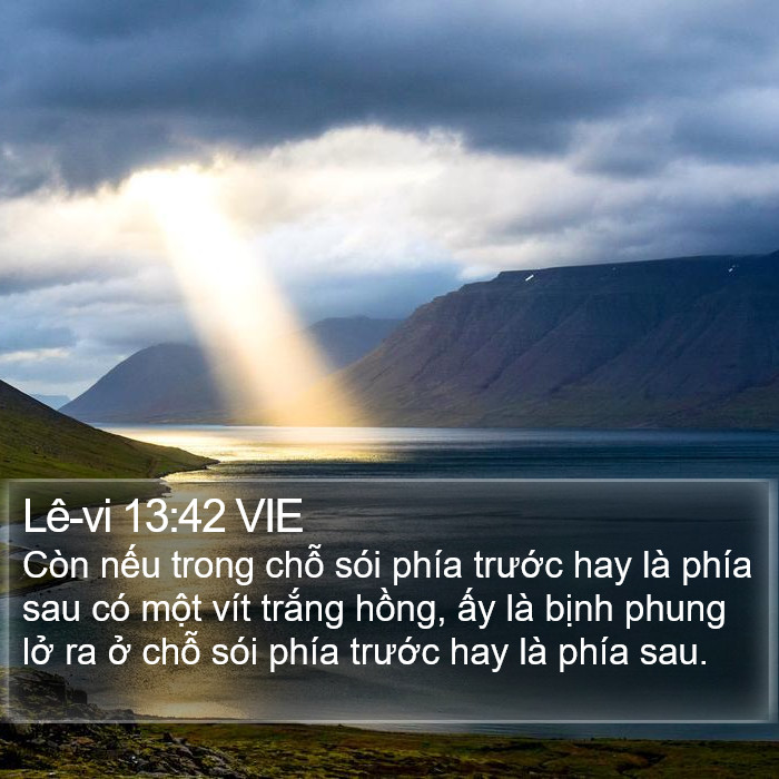 Lê-vi 13:42 VIE Bible Study