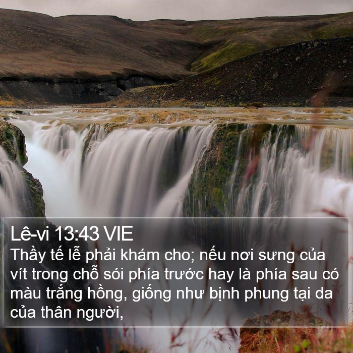 Lê-vi 13:43 VIE Bible Study