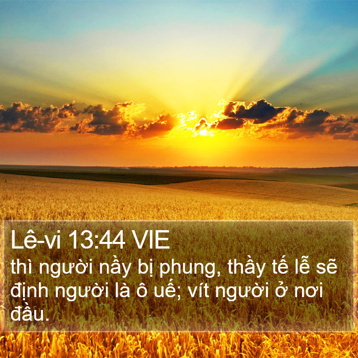 Lê-vi 13:44 VIE Bible Study