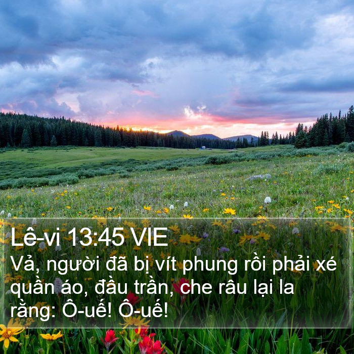 Lê-vi 13:45 VIE Bible Study