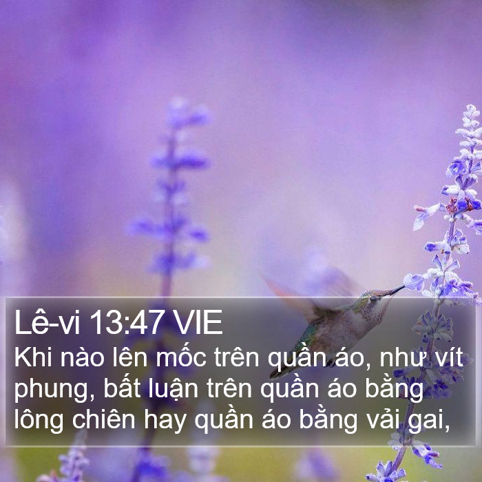 Lê-vi 13:47 VIE Bible Study