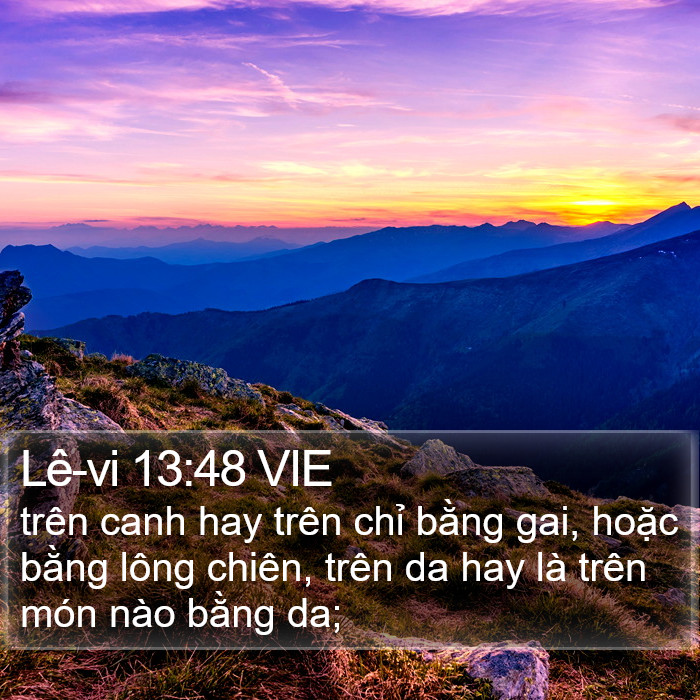 Lê-vi 13:48 VIE Bible Study