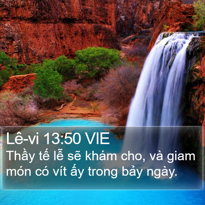 Lê-vi 13:50 VIE Bible Study