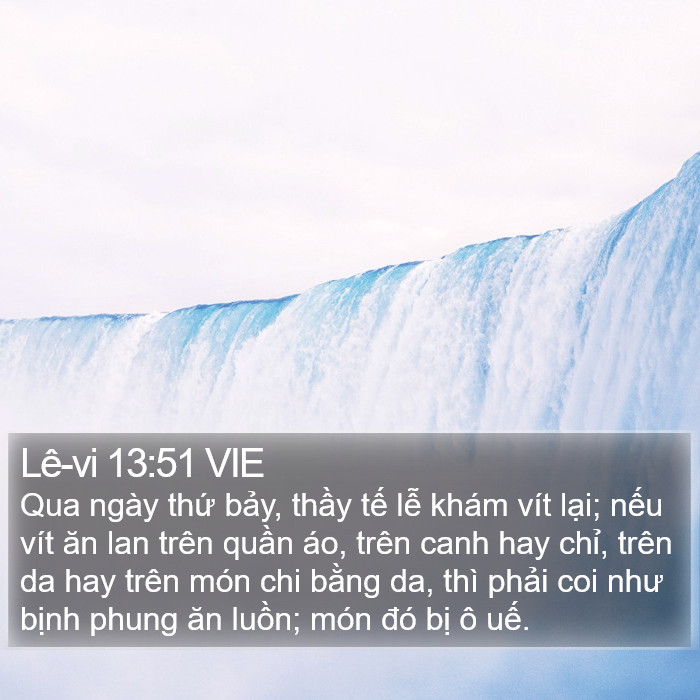 Lê-vi 13:51 VIE Bible Study