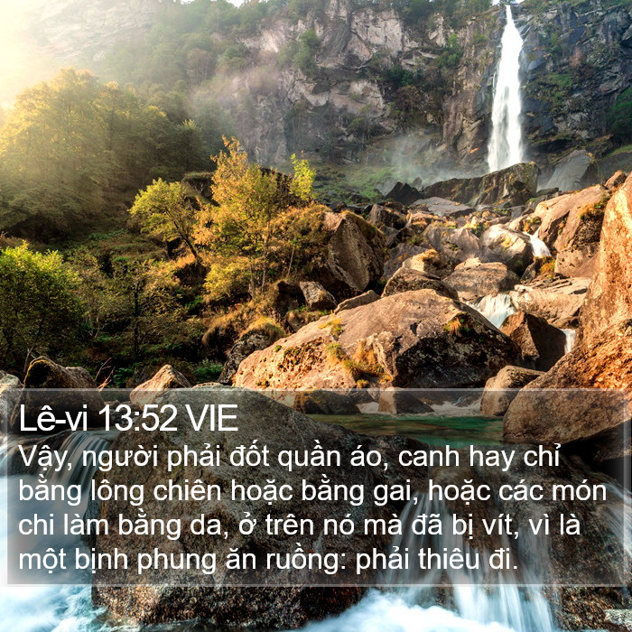 Lê-vi 13:52 VIE Bible Study