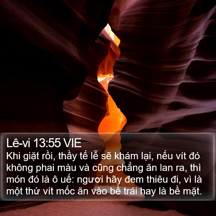 Lê-vi 13:55 VIE Bible Study