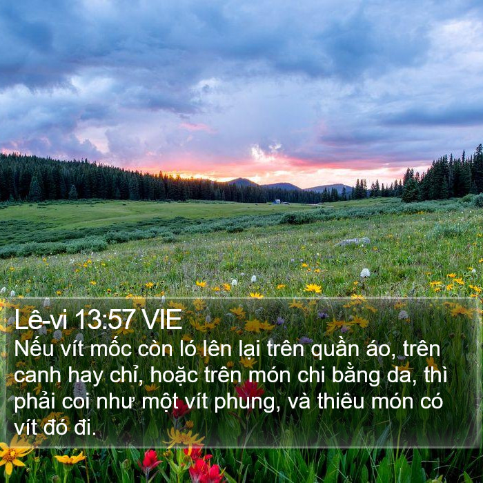 Lê-vi 13:57 VIE Bible Study