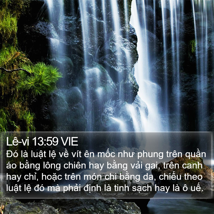 Lê-vi 13:59 VIE Bible Study