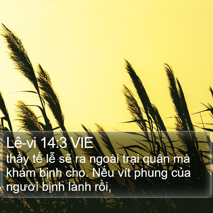 Lê-vi 14:3 VIE Bible Study