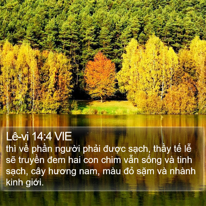 Lê-vi 14:4 VIE Bible Study