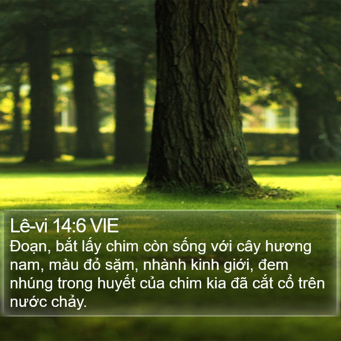 Lê-vi 14:6 VIE Bible Study