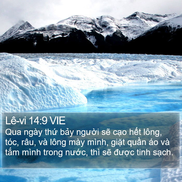 Lê-vi 14:9 VIE Bible Study