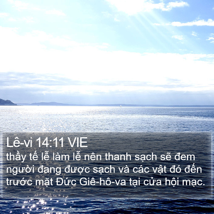 Lê-vi 14:11 VIE Bible Study