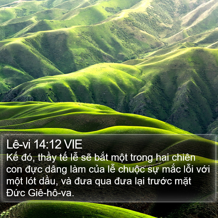 Lê-vi 14:12 VIE Bible Study