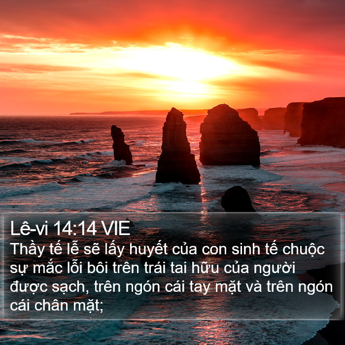 Lê-vi 14:14 VIE Bible Study