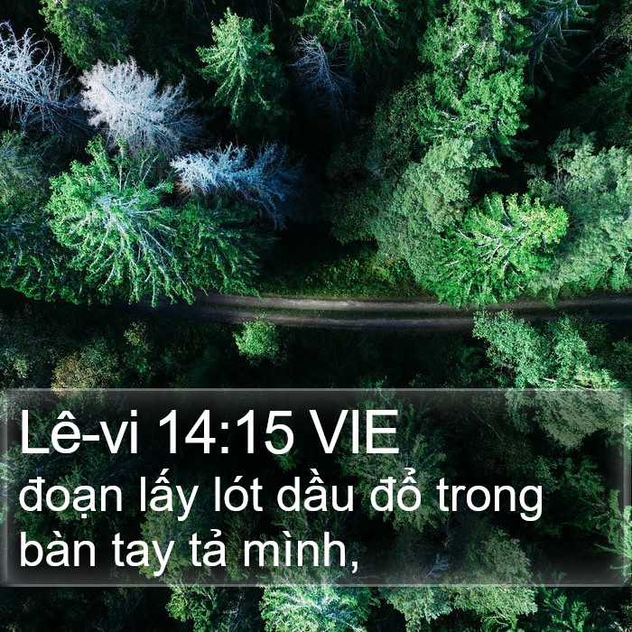 Lê-vi 14:15 VIE Bible Study